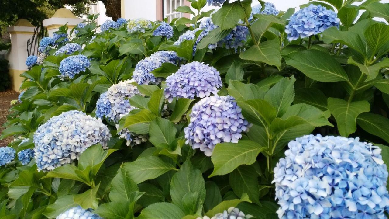 빌라 노바 드 포이아르스 Quinta Do Outeiro B&B 외부 사진